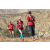 Team 41 / Raid Amazones Californie