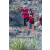 Raid Amazones Californie