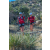 Team 44 / Raid Amazones Californie