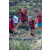 Raid Amazones Californie