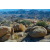 Raid Amazones Californie
