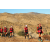 Team 74 / Raid Amazones Californie