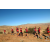 Raid Amazones Californie
