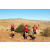 Team 50 / Raid Amazones Californie