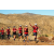 Team 19 / Raid Amazones Californie