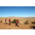 Team 58 / Raid Amazones Californie