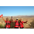 Team 06 / Raid Amazones Californie