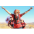 Team 24 / Raid Amazones Californie