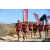 Team 43 / Raid Amazones Californie