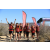 Team 76 / Raid Amazones Californie