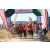 Team 81 / Raid Amazones Californie