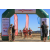 Raid Amazones Californie
