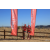 Team 43 / Raid Amazones Californie