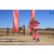 Team 48 / Raid Amazones Californie