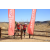 Team 67 / Raid Amazones Californie