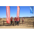 Team 12 / Raid Amazones Californie