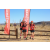 Team 42 / Raid Amazones Californie