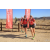 Team 35 / Raid Amazones Californie