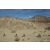 Team 42 / Raid Amazones Californie