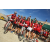 Raid Amazones Californie - J2 VTT