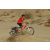 Team 98 / Raid Amazones Californie - J2 VTT
