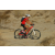 Team 98 / Raid Amazones Californie - J2 VTT