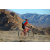 Team 81 / Raid Amazones Californie - J2 VTT