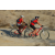 Team 44 / Raid Amazones Californie - J2 VTT