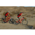 Team 03 / Raid Amazones Californie - J2 VTT