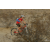 Team 51 / Raid Amazones Californie - J2 VTT