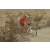 Team 51 / Raid Amazones Californie - J2 VTT