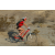 Team 35 / Raid Amazones Californie - J2 VTT