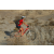 Team 35 / Raid Amazones Californie - J2 VTT
