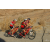 Team 52 / Raid Amazones Californie - J2 VTT