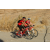 Team 42 / Raid Amazones Californie