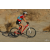 Team 92 / Raid Amazones Californie - J2 VTT