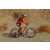 Team 92 / Raid Amazones Californie - J2 VTT