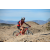 Team 13 / Raid Amazones Californie - J2 VTT