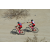 Team 48 / Raid Amazones Californie - J2 VTT