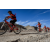 Team 61 / Raid Amazones Californie - J2 VTT