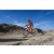 Team 61 / Raid Amazones Californie - J2 VTT