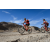 Team 57 / Raid Amazones Californie - J2 VTT