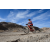 Team 15 / Raid Amazones Californie - J2 VTT
