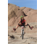Team 72 / Raid Amazones Californie - J2 VTT