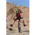 Team 72 / Raid Amazones Californie - J2 VTT
