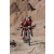 Team 11 / Raid Amazones Californie - J2 VTT