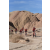 Team 61 / Raid Amazones Californie