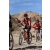 Team 14 / Raid Amazones Californie - J2 VTT
