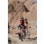 Team 58 / Raid Amazones Californie - J2 VTT