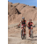 Team 74 / Raid Amazones Californie - J2 VTT